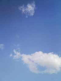 青い空 2011/12/17 15:17:33