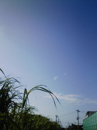青い空白い雲 2011/12/27 19:16:43