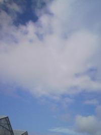 青い空白い雲 2011/12/29 10:33:39