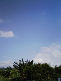 青い空白い雲 2012/01/20 17:39:22