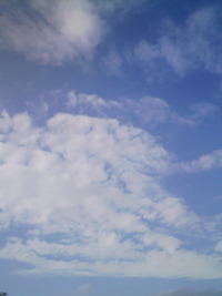 青い空白い雲 2012/01/29 08:46:33