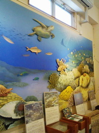黒島ビジターセンター 2012/03/26 11:50:11