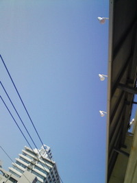 青い空 2012/05/06 09:30:07