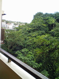 雨・雨 2012/06/12 16:51:08