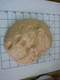 これな〜んだ？ 2009/08/12 13:36:22