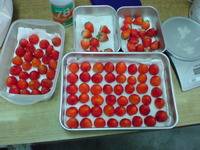 莓の季節！ 2010/03/10 14:36:46