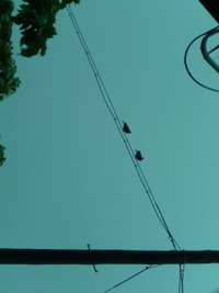 伊平屋（前泊）停電なう 2010/07/01 10:24:32