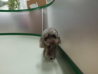 ☆今日のお客様☆