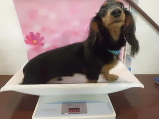 ☆体重測定☆
