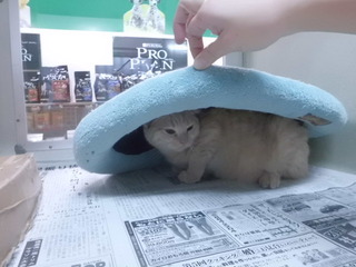 HOTなアイテム