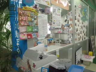 レジ横に注目です