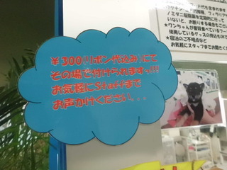 レジ横に注目です