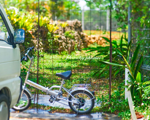 Fと自転車