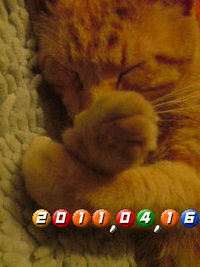 ○WISH 2011/04/16 17:30:29