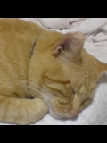 ○さむい朝 2011/11/20 10:17:44