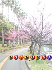○土曜日に想う 2012/02/11 21:07:05