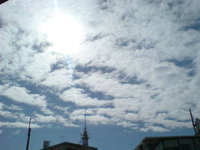○立春過ぎて 2012/02/05 12:10:04