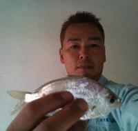 釣りアホ日誌 2011/04/06 08:49:31