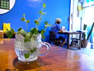 美味しいカレーとともに切り絵個展を楽しむ。6/24〜7/4