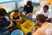 安全祈願と、うーとーとー