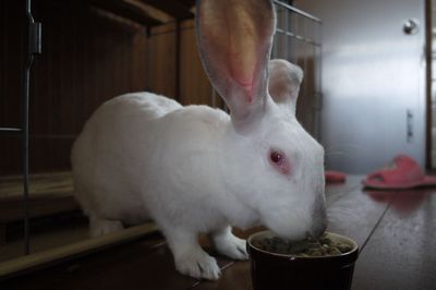 すがすがしい気分から一転　ウォーキング2日目