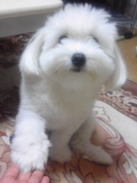 お目目が…(-.-;) 2010/12/23 10:38:09
