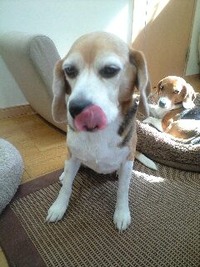 ●●なんて食べるか？？？？