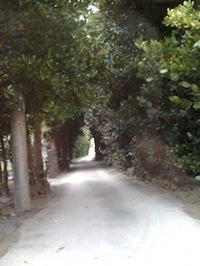 2011年良い年になりますよーに♥ 2011/02/01 13:21:32