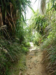 初 okinawa ダイビング★☆ 2010/11/22 14:34:12