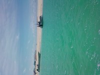 8月19日の記事 2010/08/19 14:52:12