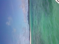 7月25日の記事 2010/07/25 12:04:46