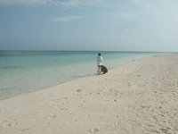 はての浜の写真 2010/07/16 08:11:21