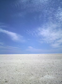 はての浜 2010/04/16 21:34:42