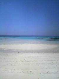 はての浜の写真