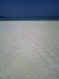 久米島はての浜