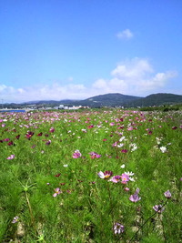 はての浜