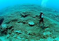今久米島の話題は