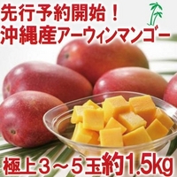 沖縄産マンゴー 2010/05/17 08:31:13