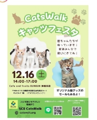 ☆CatsWalk キャッツフェスタ