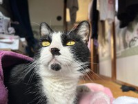 ☆クロ永眠