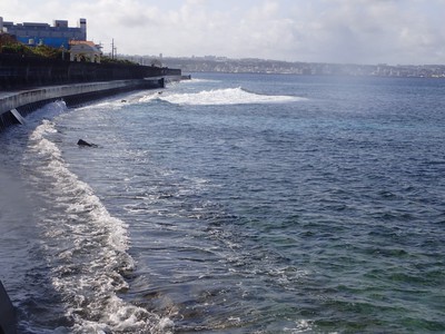 自粛明けの海