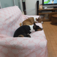 台風の後。。 2014/07/10 05:33:29