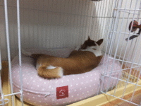 蒸し暑つさに負けず、食欲旺盛！！ 2014/06/16 05:32:20