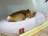 ご褒美だよね（笑） 2014/06/03 05:42:09
