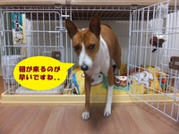 日向はポカポカ、日陰はヒンヤリ。。 2014/03/23 06:02:59