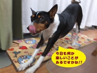 シャンプーしてスッキリ♪ 2014/03/29 05:58:31