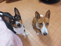 3%でも・・・。。 2014/04/04 05:59:16