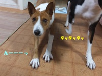 お日様の出待ち♪ 2014/04/05 05:56:34