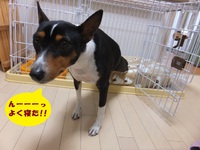月一のウマウマ♪ 2014/04/11 06:00:32