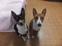 がんばりませう！！ 2014/04/15 05:55:54